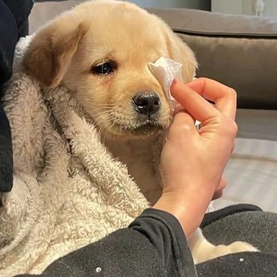 bpwithyin__'s profile picture