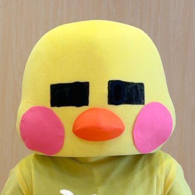 ひよっち🐥's profile picture