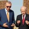 amcabey🇹🇷 的头像