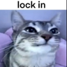 CatLasagna's profile picture