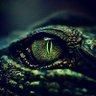 𝟙𝟛𝟙𝟚's profile picture