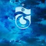 F 的头像