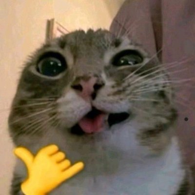 Lalapan indo's profile picture