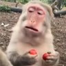 Profilbild von wdbb