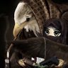War Hawk ใ ็ๅคดๅ