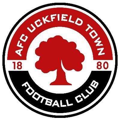 AfcUckfieldTown's profile picture