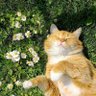 qiqi profil fotoğrafı