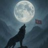 sayenizde tesadüfen yaşıyoruz 的头像