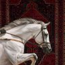 Фото профиля عبير الشمري