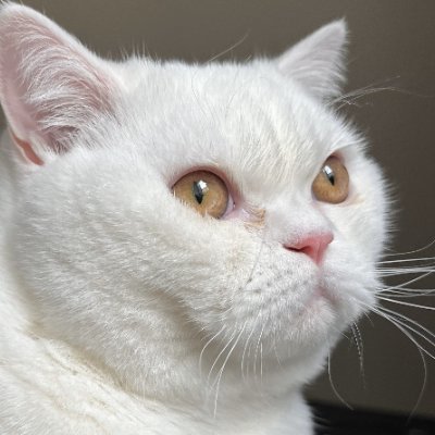 bussblogg's profile picture