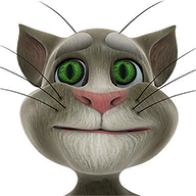 Miguel's profile picture