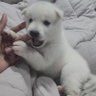 Фото профиля Monty