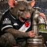 Фото профиля Rato imundo vascaíno