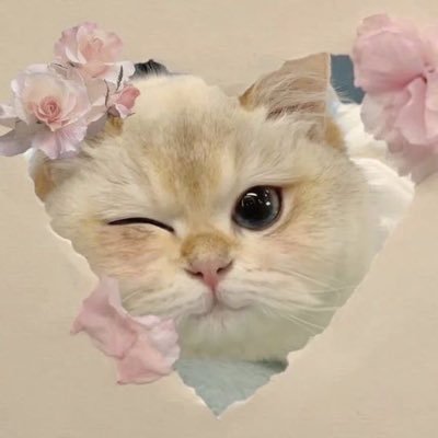 Wef0l's profile picture