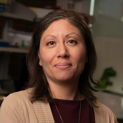 uribelabrice's profile picture