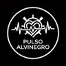 Profilbild von Pulso Alvinegro