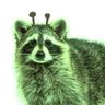 Profilbild von DarkRaccoon404