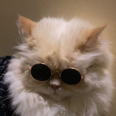 M7MD's profile picture