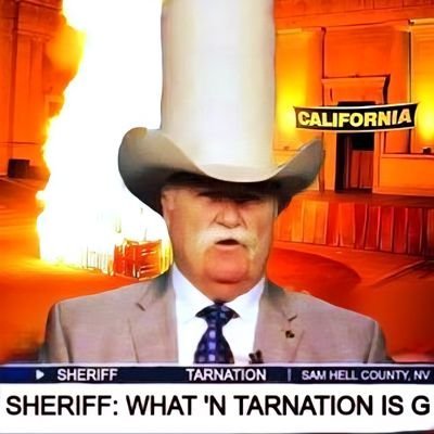 Wade 'n Tarnation 🤠🚂's profile picture