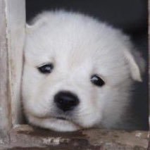 으흠's profile picture