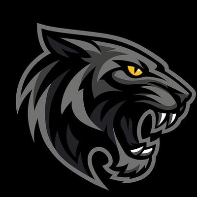 BLACKTIGER1612's profile picture