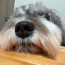 Profilbild von なち