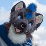 romdex's profile picture