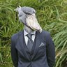 reformed.shoebill's profile picture