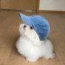 PuiTaveevoot 的头像