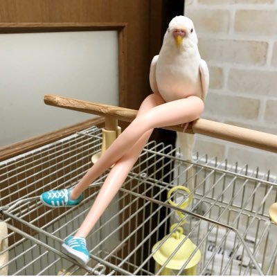 EBITMA's profile picture