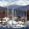 Rosa Marcos⚖️🗽💚✝️ profil fotoğrafı