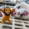 Фото профиля 田中マサごゴンザレス