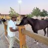 Profilbild von ابراهيم النظيري
