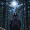 渡鴉 profil fotoğrafı
