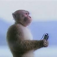 kroshki's profile picture