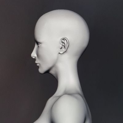 노워's profile picture