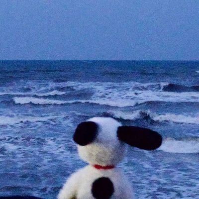 kkwealin's profile picture