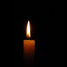 Mary Aleshire's profile picture