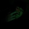 Profilbild von foreiign