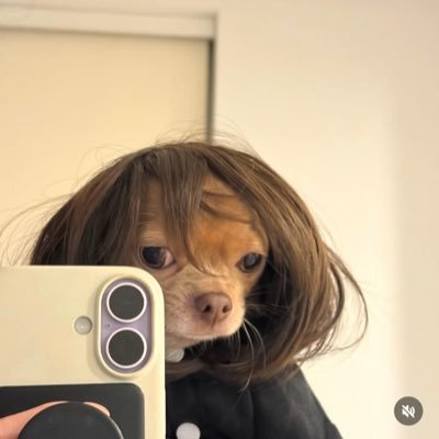 sunraysandstuff's profile picture