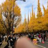 あらぶる profil fotoğrafı