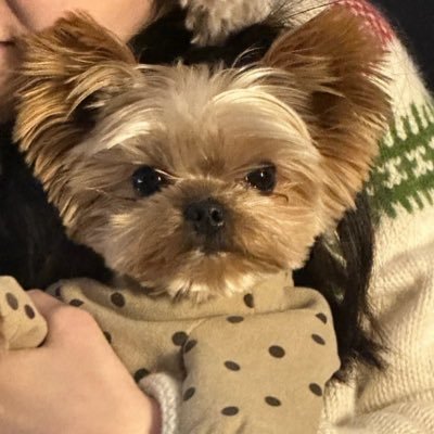 dianzia7's profile picture