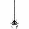 Profilbild von 🕷️