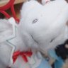 宇宙浮冰 的头像