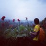 Amir_arif's profile picture