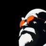 Lfamsaaer's profile picture