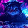 DJ Kofi the cat's profile picture