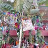 Фото профиля Muktinath Baral