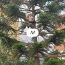 KUZEY 13 profil fotoğrafı