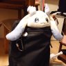 都杞(とき)'s profile picture